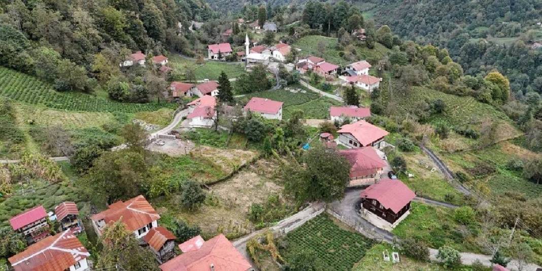 Her köşesinde doğallık taşıyor! En fazla tescilli yapı burada bulunuyor: Türkiye’nin ziyaretçi akınına uğrayan Arılı Köyü 2